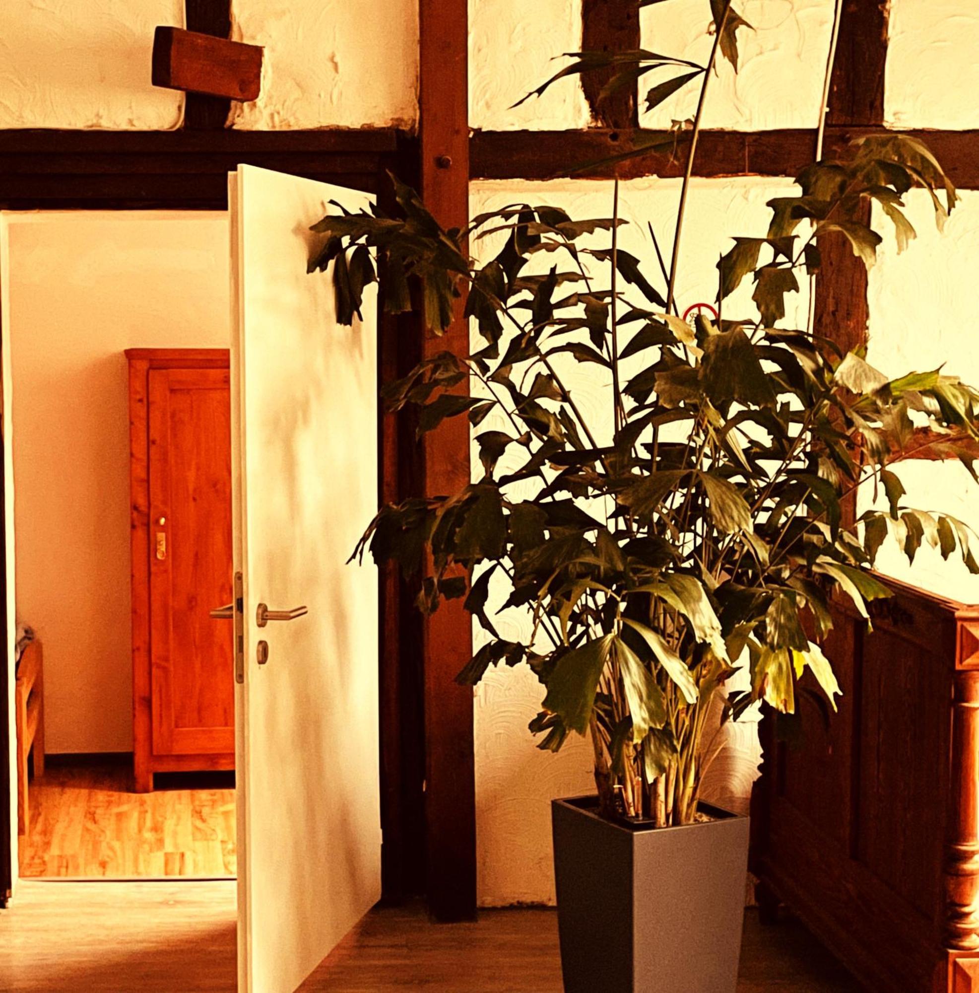 Cottage Huehnerstall Zulpich Exterior foto
